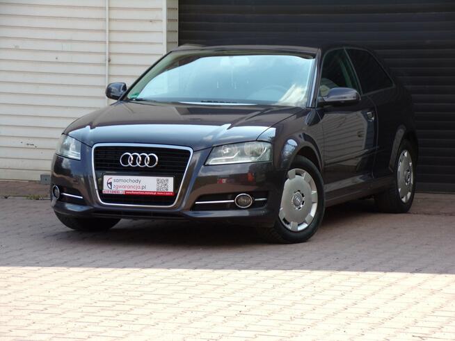 Audi A3 Klimatronic /I Właść /1,4 /125KM /2011 /Lift Mikołów - zdjęcie 7