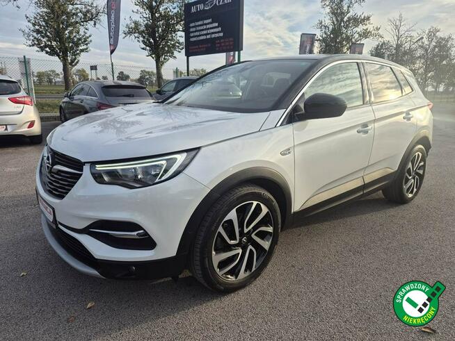 Opel Grandland X 1.2Turbo 130KM Biała Perła Gniewkowo - zdjęcie 1