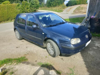 Volkswagen Golf IV 1.9 SDI Niebocko - zdjęcie 4