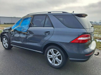 Mercedes ML 250 250cdi 4 matic 220tys Km ! Pleszew - zdjęcie 6
