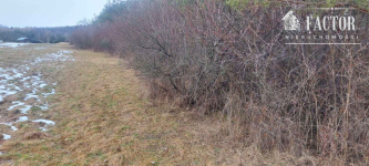 Siary działka budowlano-rolna 0,53 ha 1169S/2026 Siary - zdjęcie 6