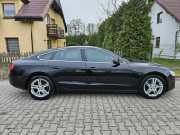 Audi A5 12/13r 177PS Navi Zadbany Rata800zł Śrem - zdjęcie 8
