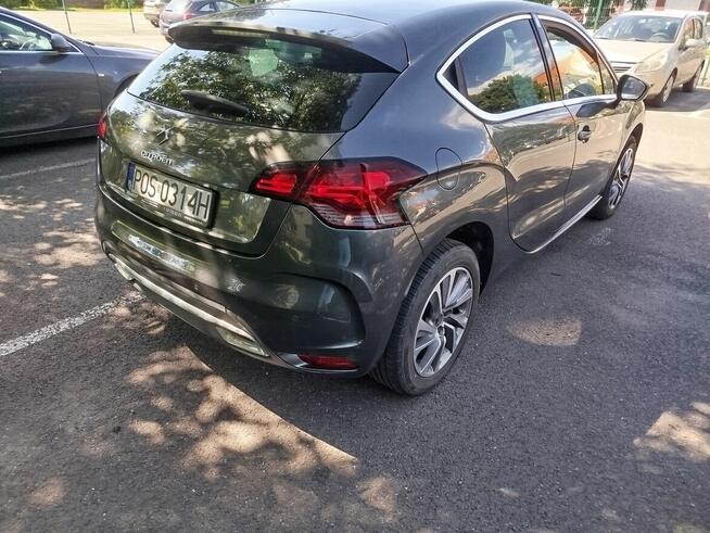 Citroen ds4 Psie Pole - zdjęcie 5