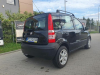 Fiat Panda 1.2 2008 z panoramą Turek - zdjęcie 4