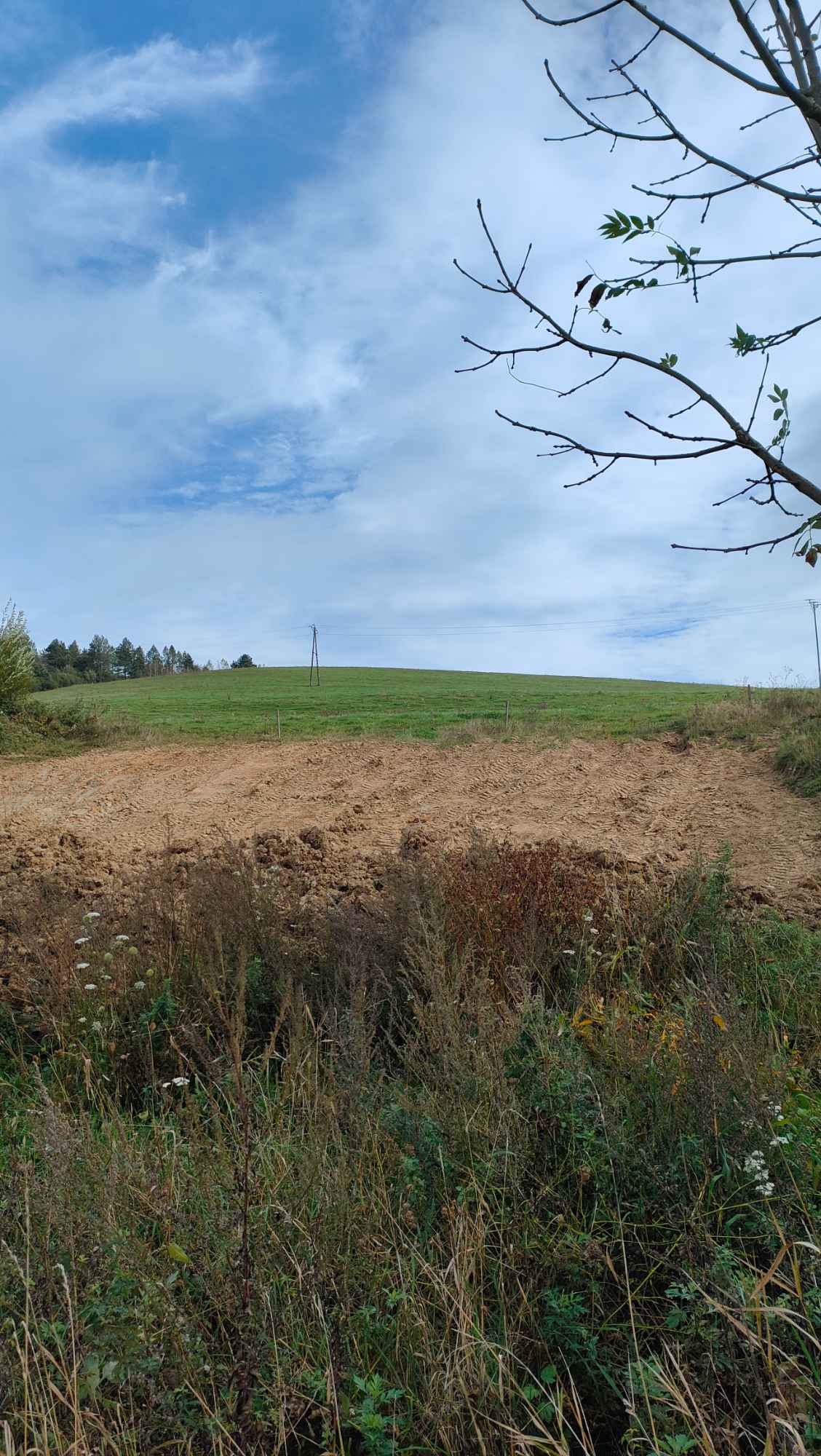 Działka rolna 28 ha. Brzuska - zdjęcie 7