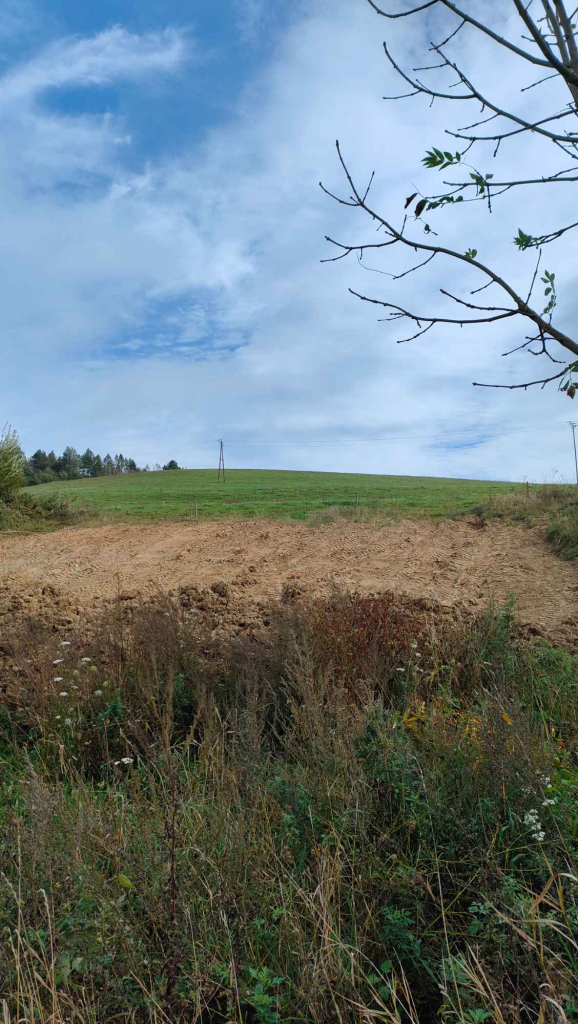 Działka rolna 28 ha. Brzuska - zdjęcie 7