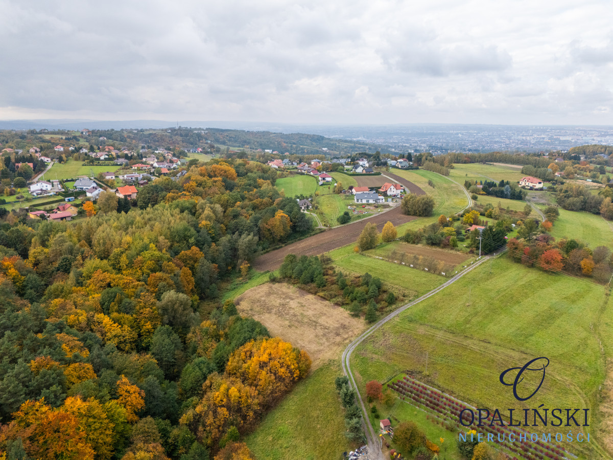 Działka pod lasem 16,80 ar z warunkami zabudowy Rzeszów - zdjęcie 5