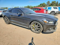 Ford Mustang Wersja GT / Automat / 5.0 V8