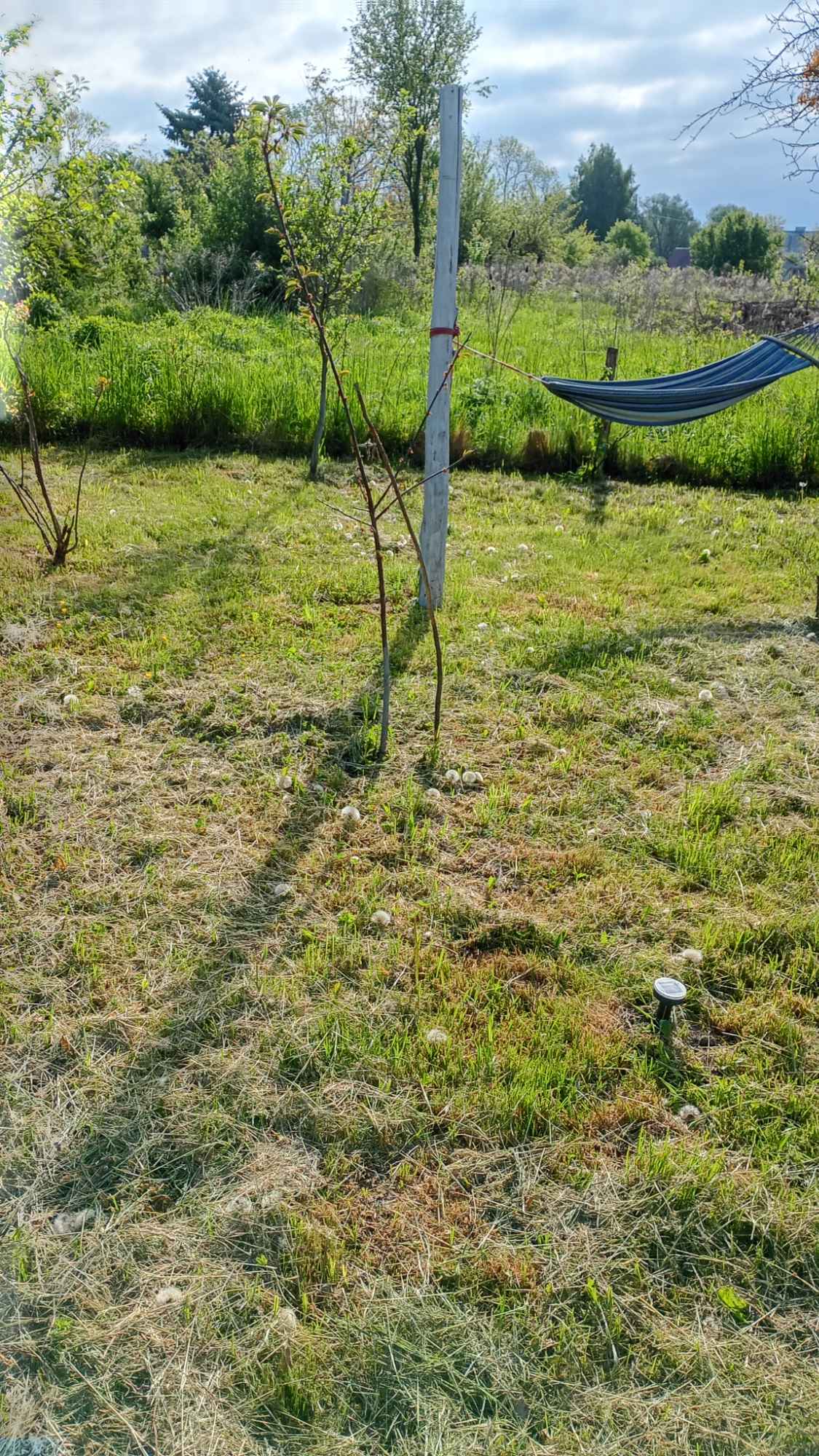 Działka ROD w Malborku Malbork - zdjęcie 5