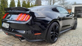 Mustang turbo, performance pack + premium pack + modyfikacje Chruszczobród - zdjęcie 8