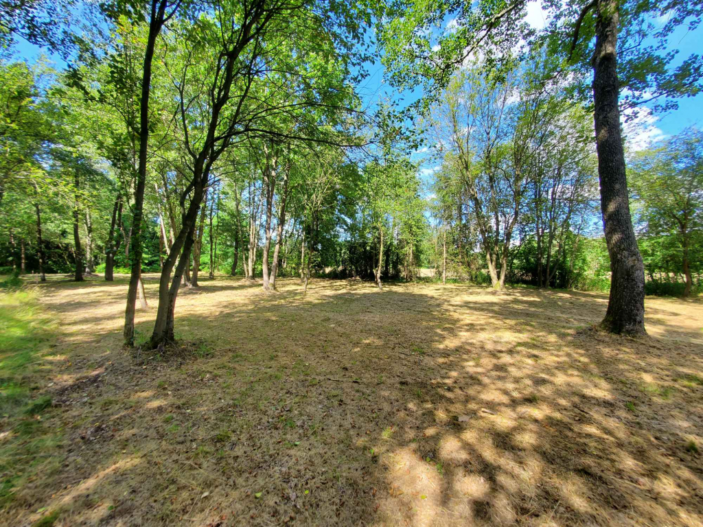 Działka rekreacyjna 30 arów nad rzeką lubaczówka. Czerwona Wola - zdjęcie 4