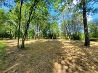 Działka rekreacyjna 30 arów nad rzeką lubaczówka. Czerwona Wola - zdjęcie 4