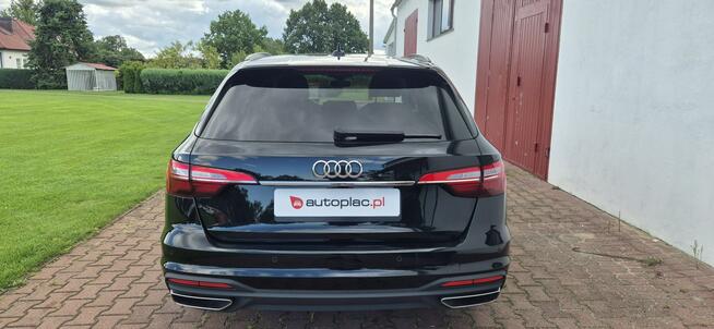 Audi A4 AVANT-MEDIA-LED Paproć - zdjęcie 6