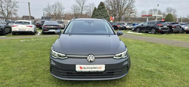 Volkswagen Golf Zarejestrowany Paproć - zdjęcie 2