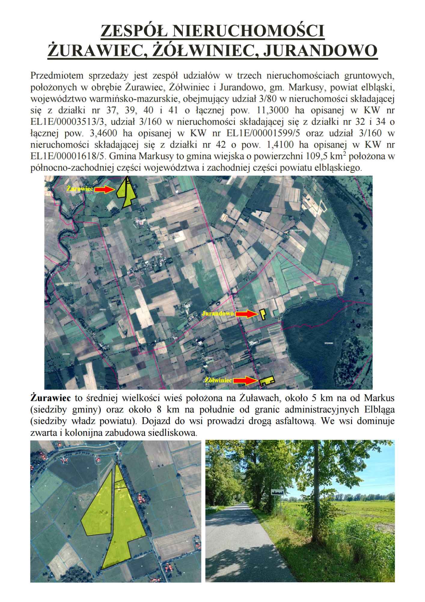 Syndyk sprzeda udziały w grunatach Żurawiec, Żółwiniec, Jurandowo Pisz - zdjęcie 1