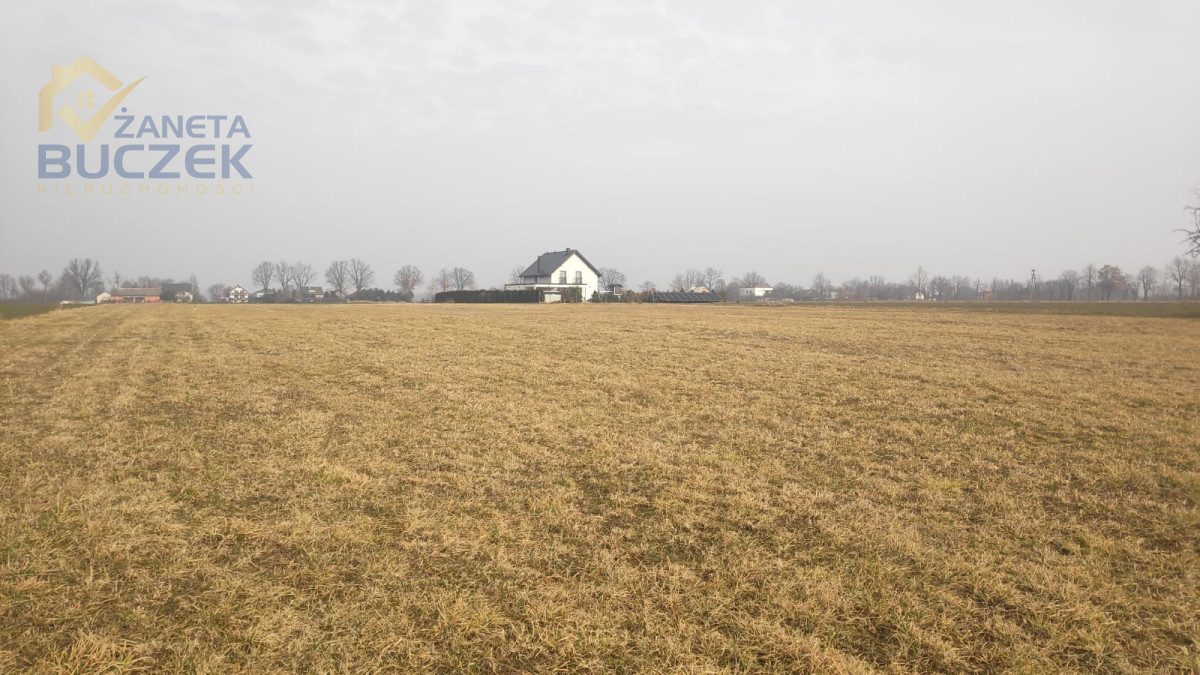 Sprzedam działki rolne z WZ w Strzyżewie Strzyżew - zdjęcie 2