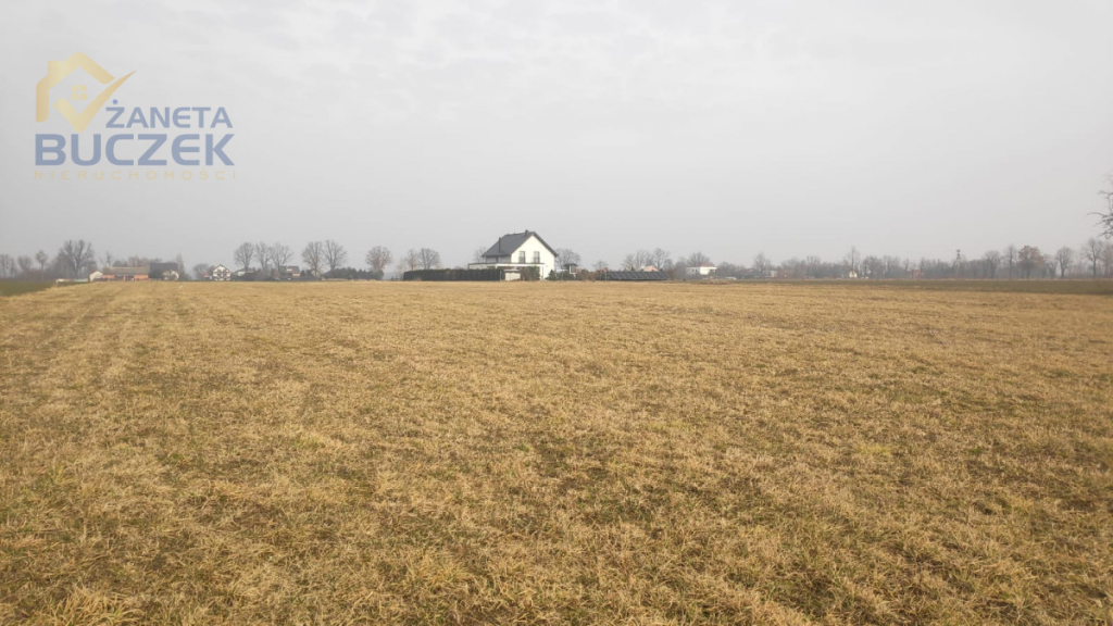 Sprzedam działki rolne z WZ w Strzyżewie Strzyżew - zdjęcie 2