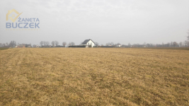 Sprzedam działki rolne z WZ w Strzyżewie Strzyżew - zdjęcie 2