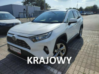 Toyota RAV-4 Salon polska fv23% bezwypadkowy Otwock - zdjęcie 1