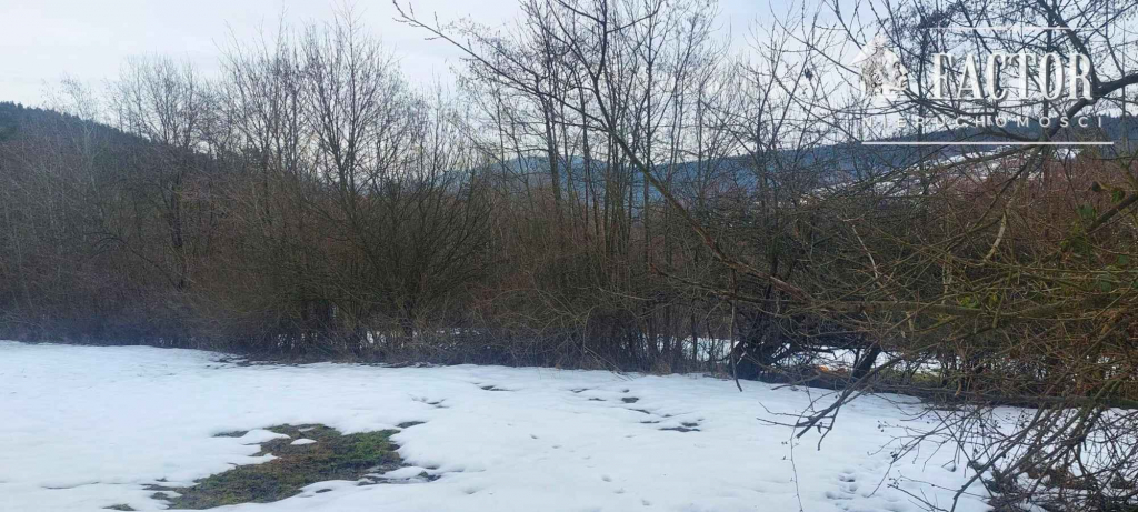 Wyjątkowa działka budowlana 92 a –Siary, gm. Sękowa 1177S/2026 Siary - zdjęcie 6