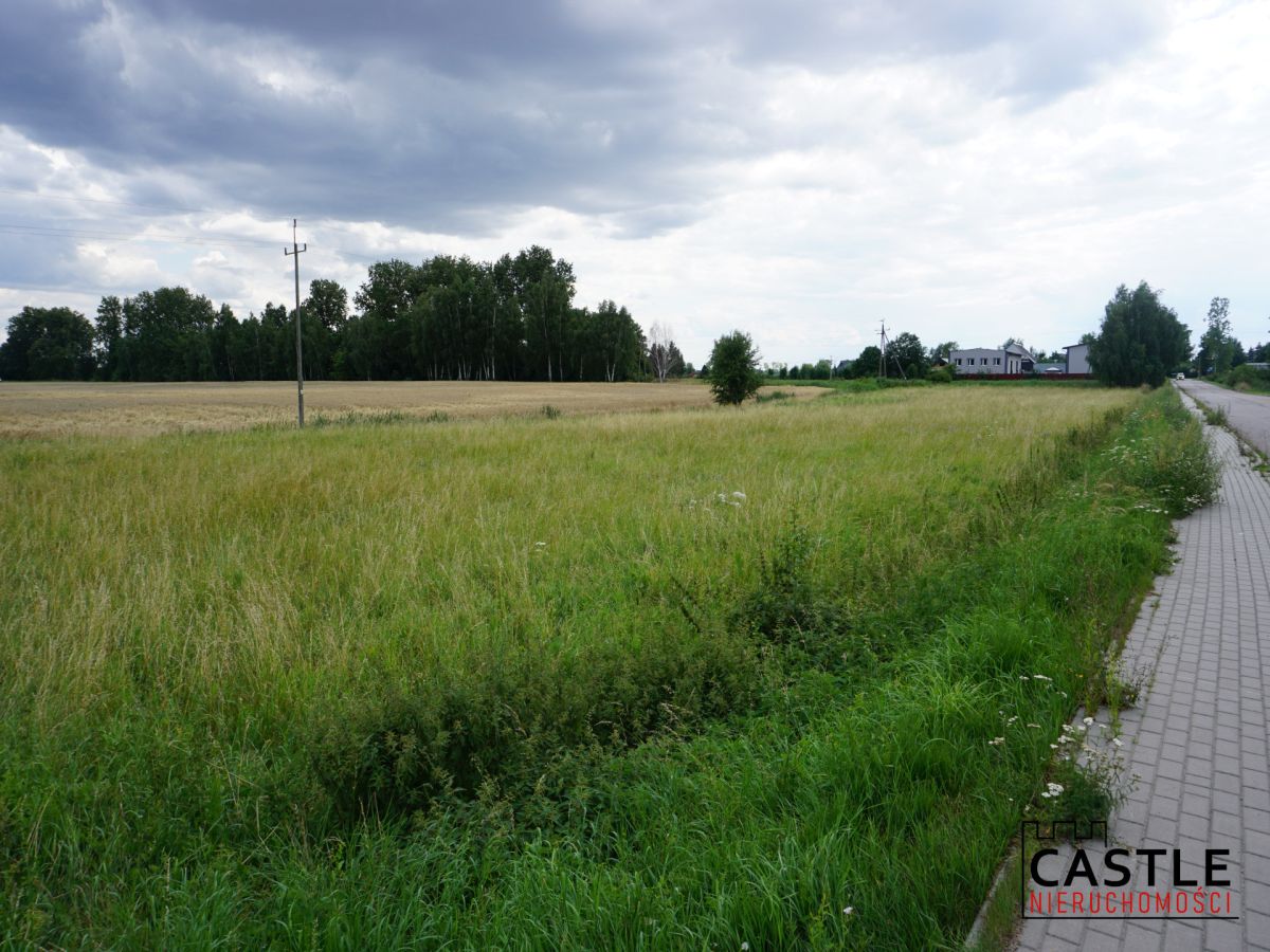 Działka 6303 m² | Bogatka koło Gdańska Bogatka - zdjęcie 3