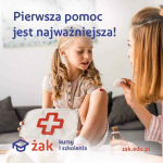 kurs PIERWSZA POMOC PRZEDMEDYCZNA