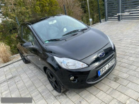 Ford KA Bardzo zadbana - oryginalny przebieg - 1 WŁAŚCICIEL !!! Poznań - zdjęcie 1