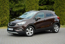 Lift 119 Przebieg 4x4 Duża Navi Ledy Kamera 2xParktronic Aso Opel Ostrów Mazowiecka - zdjęcie 11