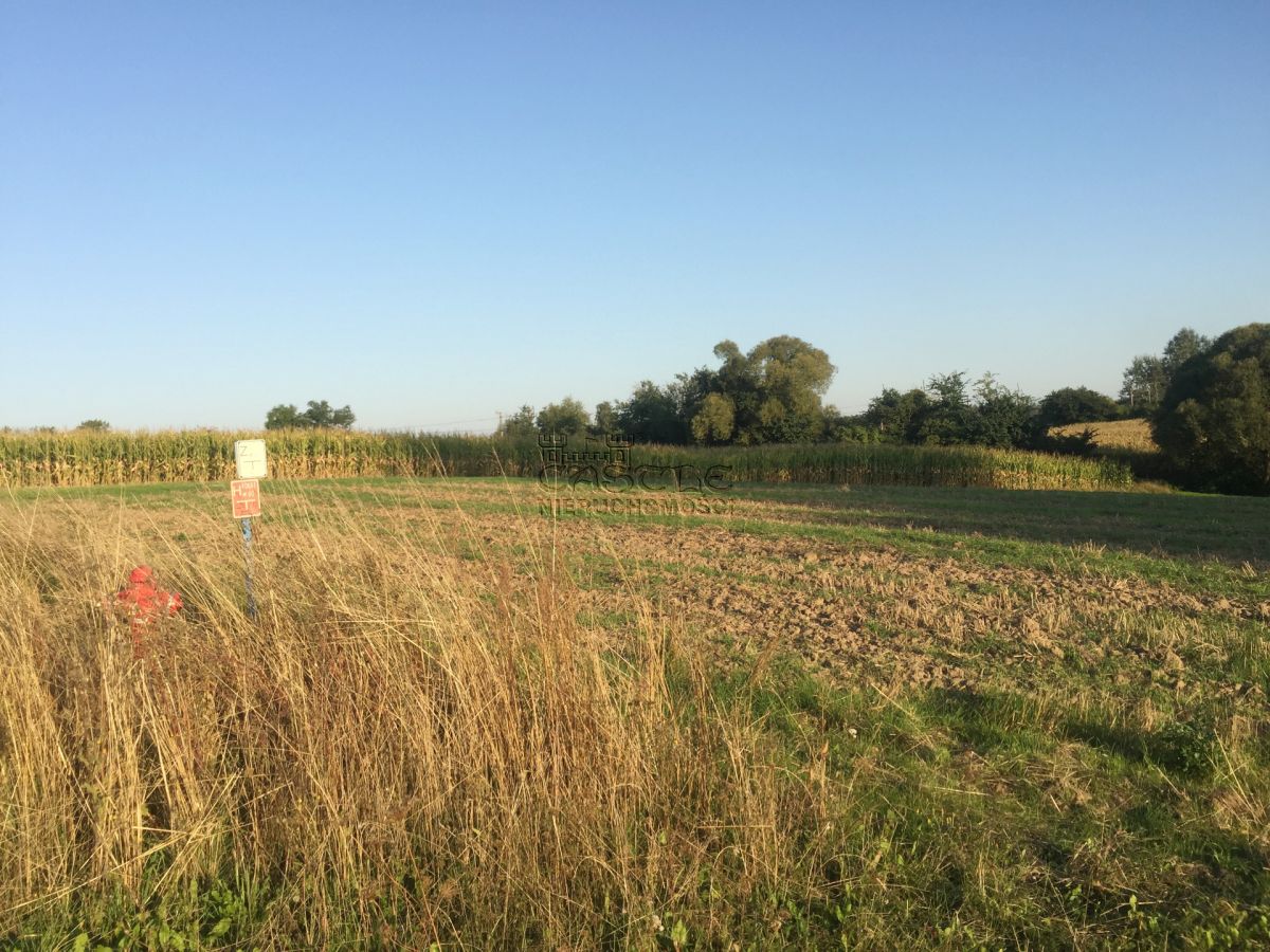 Działka na sprzedaż Golęczewo Golęczewo - zdjęcie 7