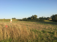 Działka na sprzedaż Golęczewo Golęczewo - zdjęcie 7