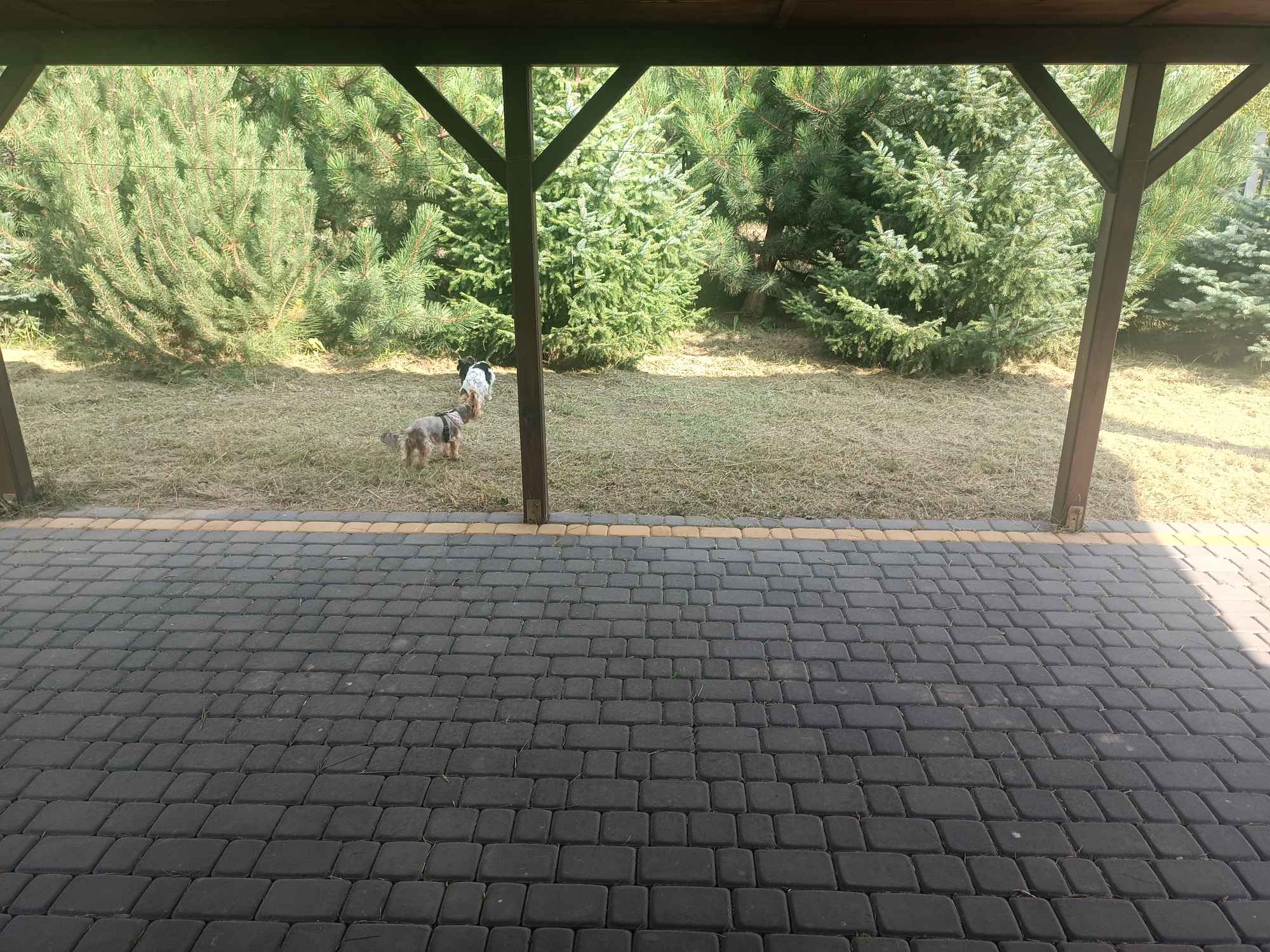 Sprzedam domek letniskowy nad jeziorem Powidzkim Kosewo - zdjęcie 4