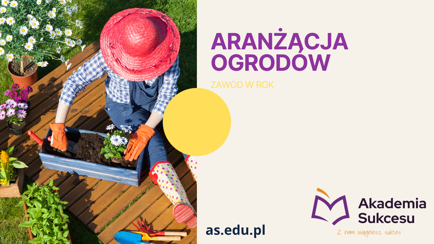 ARANŻACJA OGRODÓW - TRWAJĄ ZAPISY! Suwałki - zdjęcie 1