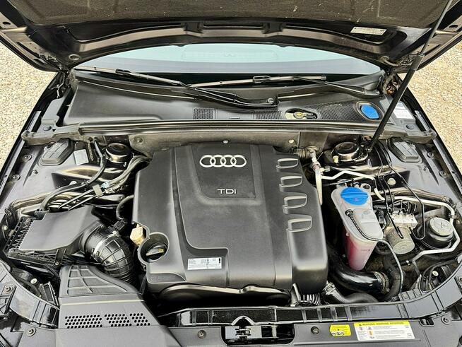 Audi A4 S-Line Bi-Xenon Navi Bang &amp; Olufsen Gwarancja Kutno - zdjęcie 9