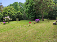 14pok, 300met, okolice Lipińskiego PIĘKNY OGRÓD/2 GARAŻE (Wrocław) Śródmieście - zdjęcie 2