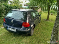 VW GOLF 4 , 2000R 1,4 benzyna