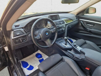 318d Sport Line! Z polskiego salonu! Faktura VAT! Warszawa - zdjęcie 12