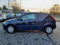 Ford Fiesta 1.3i klima zadbane stan BDB ZAREJESTROWANE Gryfino - zdjęcie 8