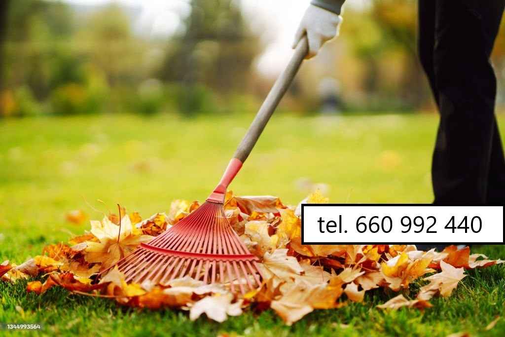 Koszenie trawników, jesienne prace ogrodowe Gdańsk - zdjęcie 5