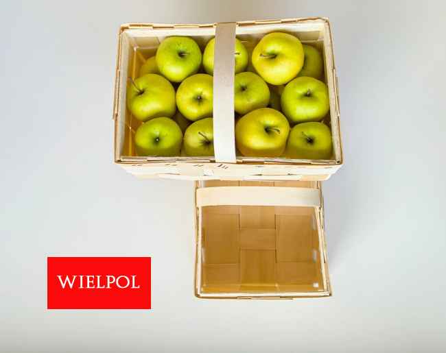 Opakowania do jabłek. Kosze do jabłek. Wielichowo - zdjęcie 5