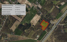 Blisko Łodzi, las, ogromna działka, licytacja komornicza