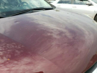 Honda CR-V 2016, 2.4L, 4x4, po gradobiciu Warszawa - zdjęcie 5