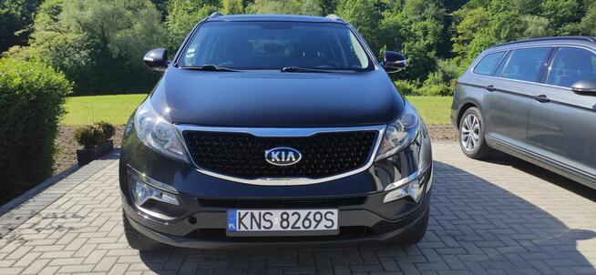 Kia Sportage 2013 rok Grybów - zdjęcie 1