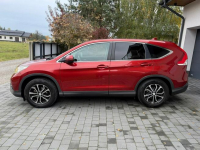 Honda CR-V LEDY*Oryginał*Lakier*NAVI*Grzane*Fotele*zarejestrowana Kotarwice - zdjęcie 12