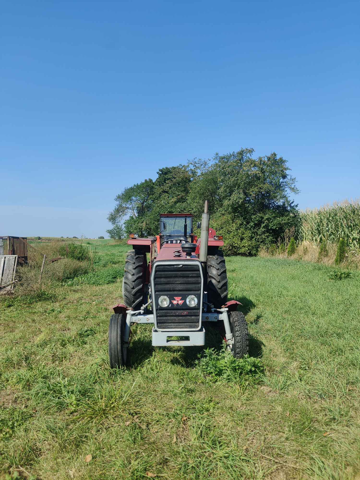 Sprzedam MASSEY FERGUSON 255 Danowo - zdjęcie 2