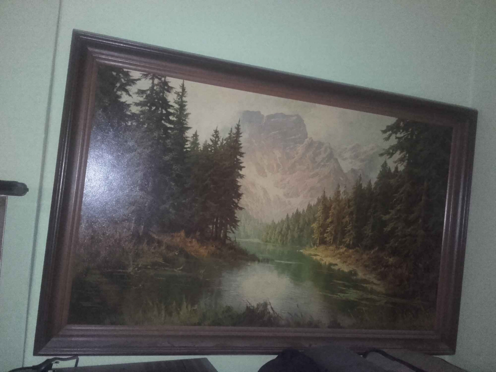 Kolekcja obrazów Bielany - zdjęcie 4