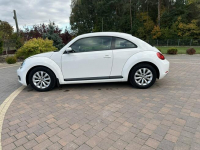 Volkswagen Beetle Lipówki - zdjęcie 6