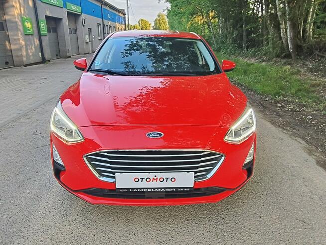 Ford Focus Bibice - zdjęcie 1