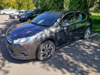 Citroen ds4 Psie Pole - zdjęcie 9