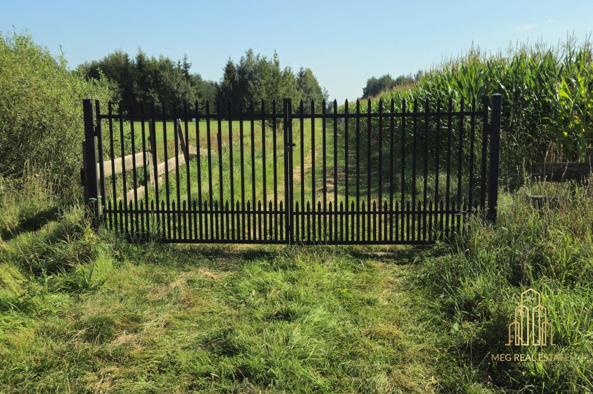 Działka nad jeziorem Rajgrodzkim* Stacze*3001m2* Stacze - zdjęcie 12