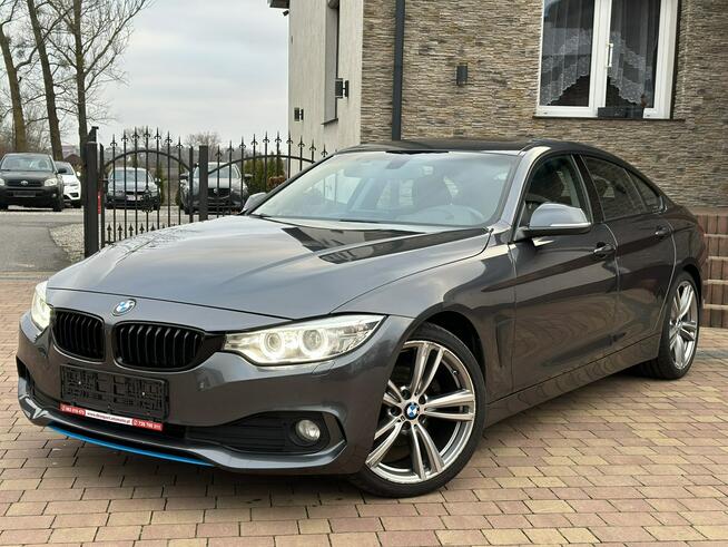 BMW 420 Sadlno - zdjęcie 1
